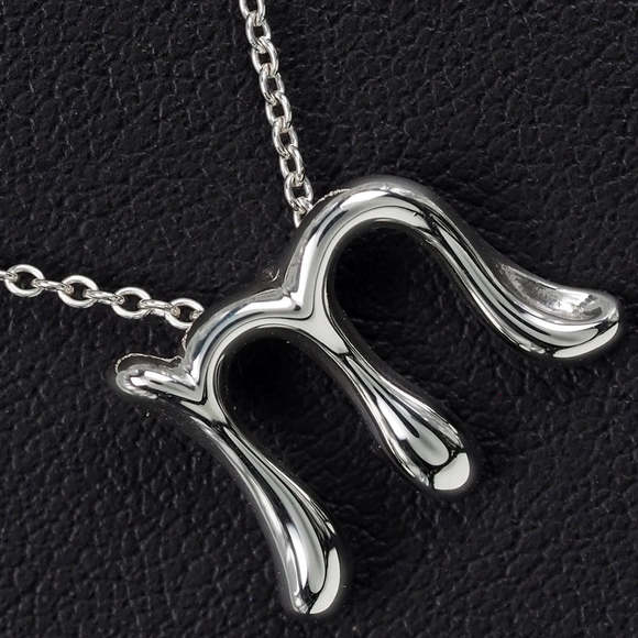 TIFFANY & CO. Initial Necklace - Picture 2 of 7